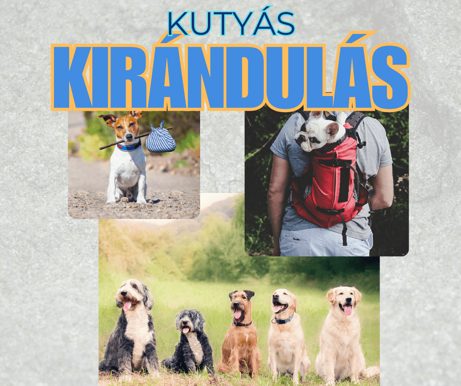 Kutyás kirándulás