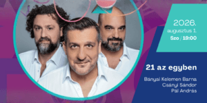 21 az egyben – vígjáték
