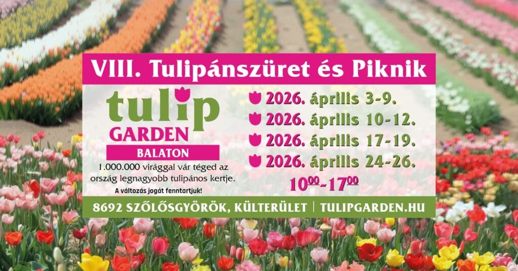 VIII. Tulipánszüret
