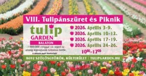 VIII. Tulipánszüret